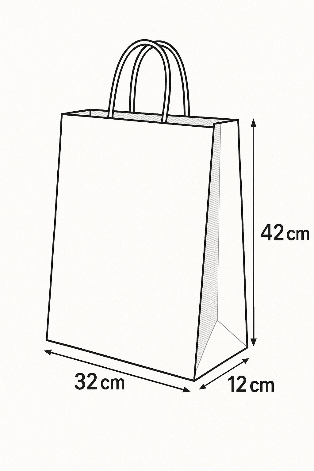 Medium Paper Bag