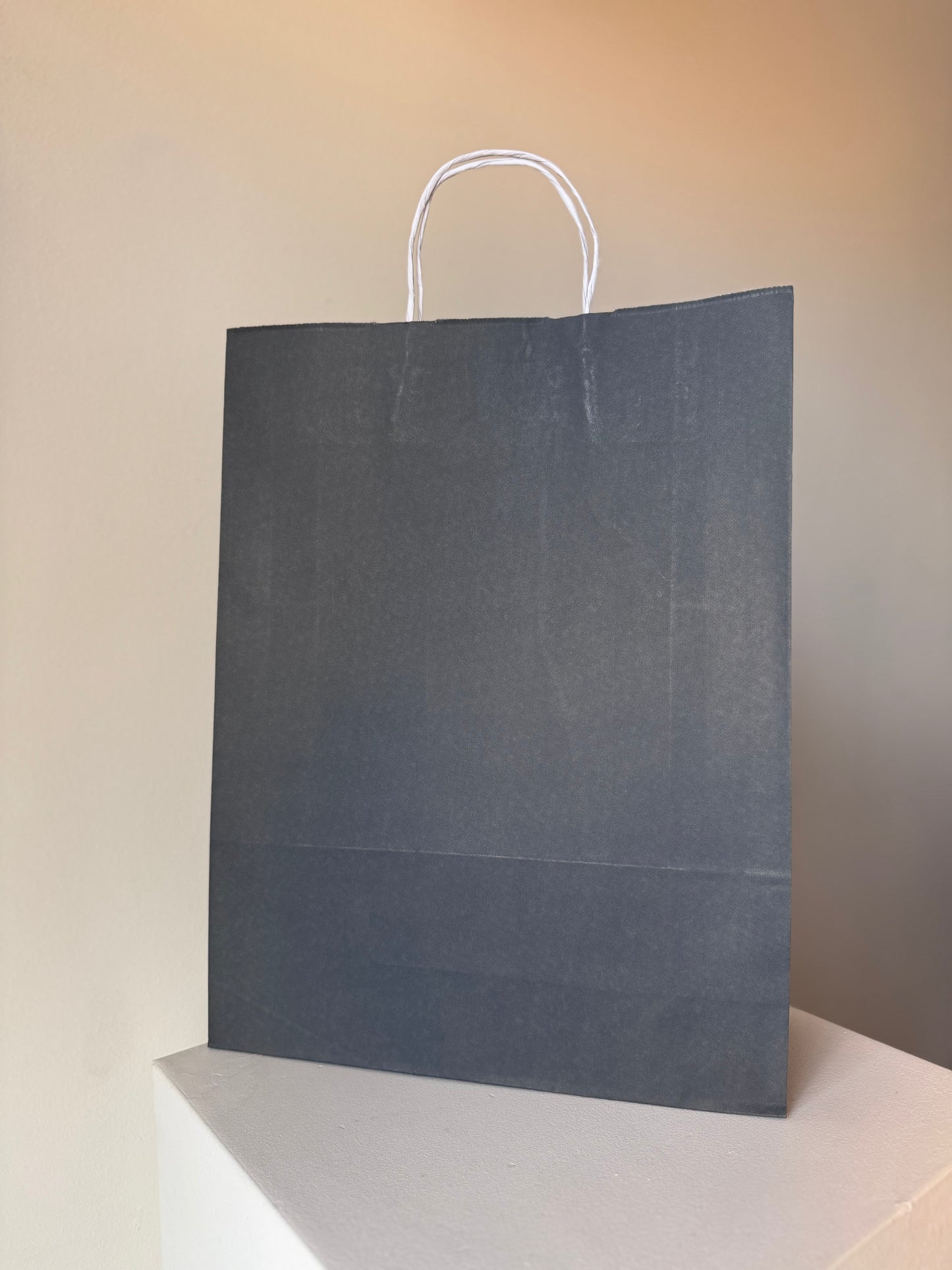 Medium Paper Bag