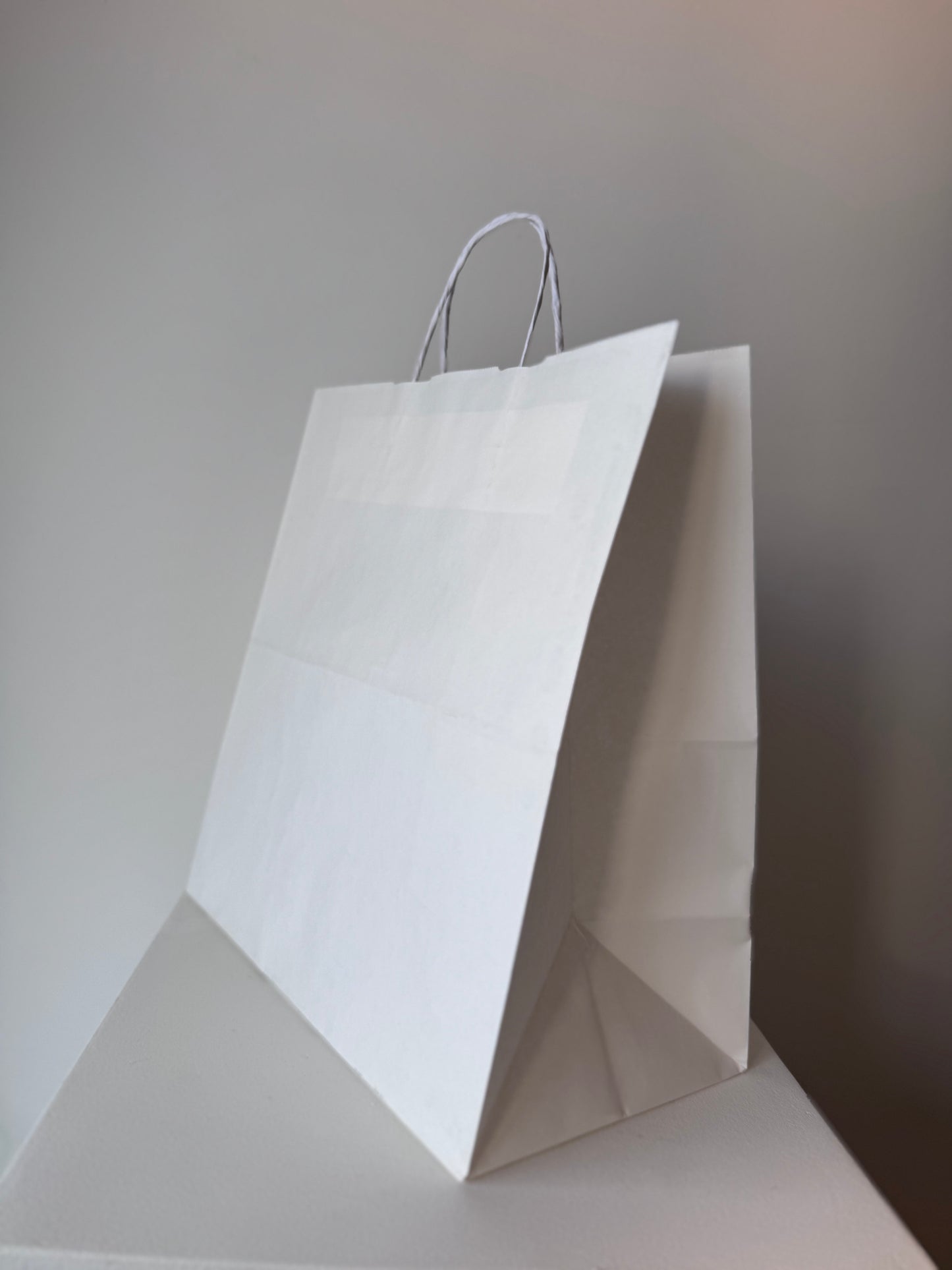 Delivery Paper Bag