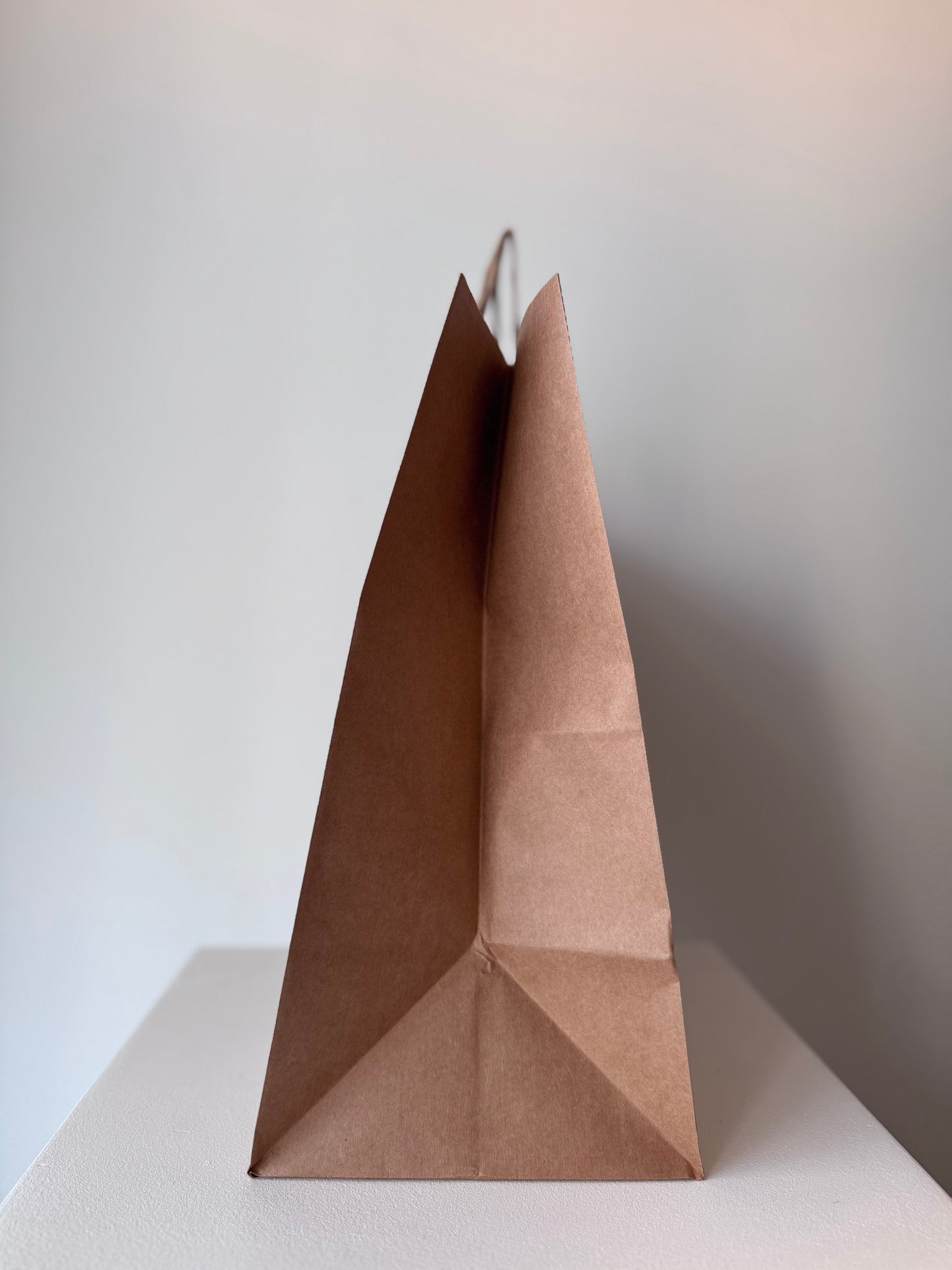 Delivery Paper Bag