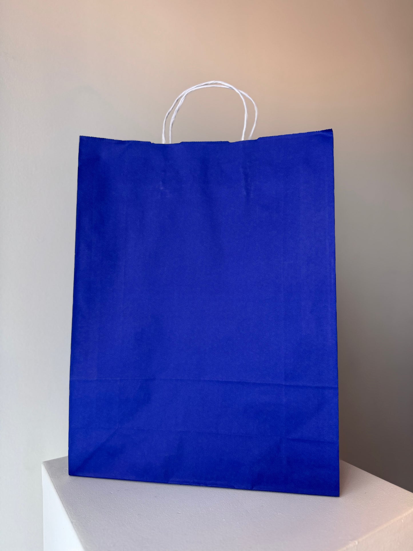 Medium Paper Bag