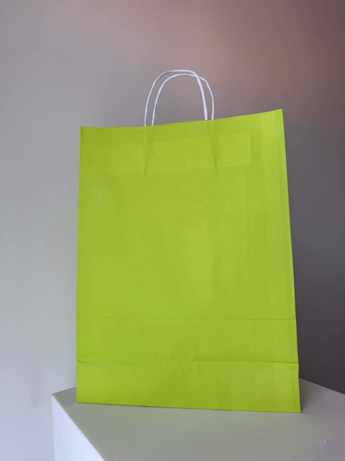 Medium Paper Bag