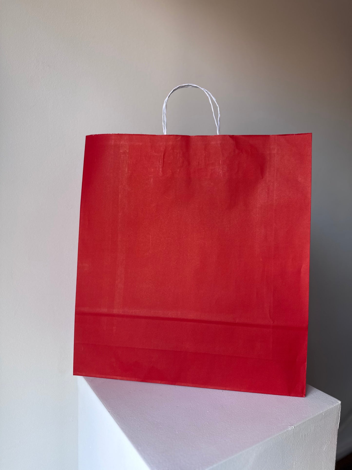 Large Paper Bag