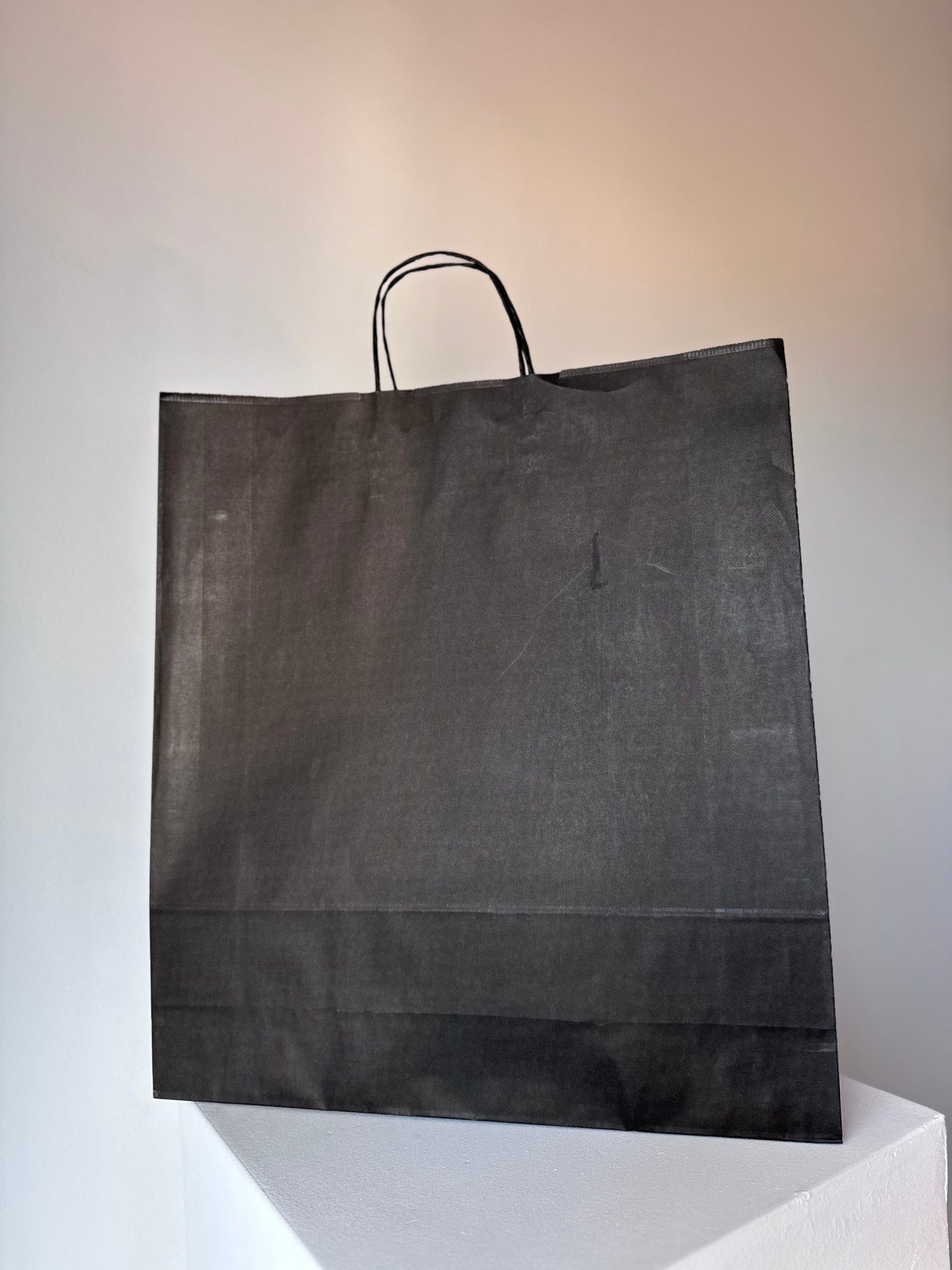 Large Paper Bag