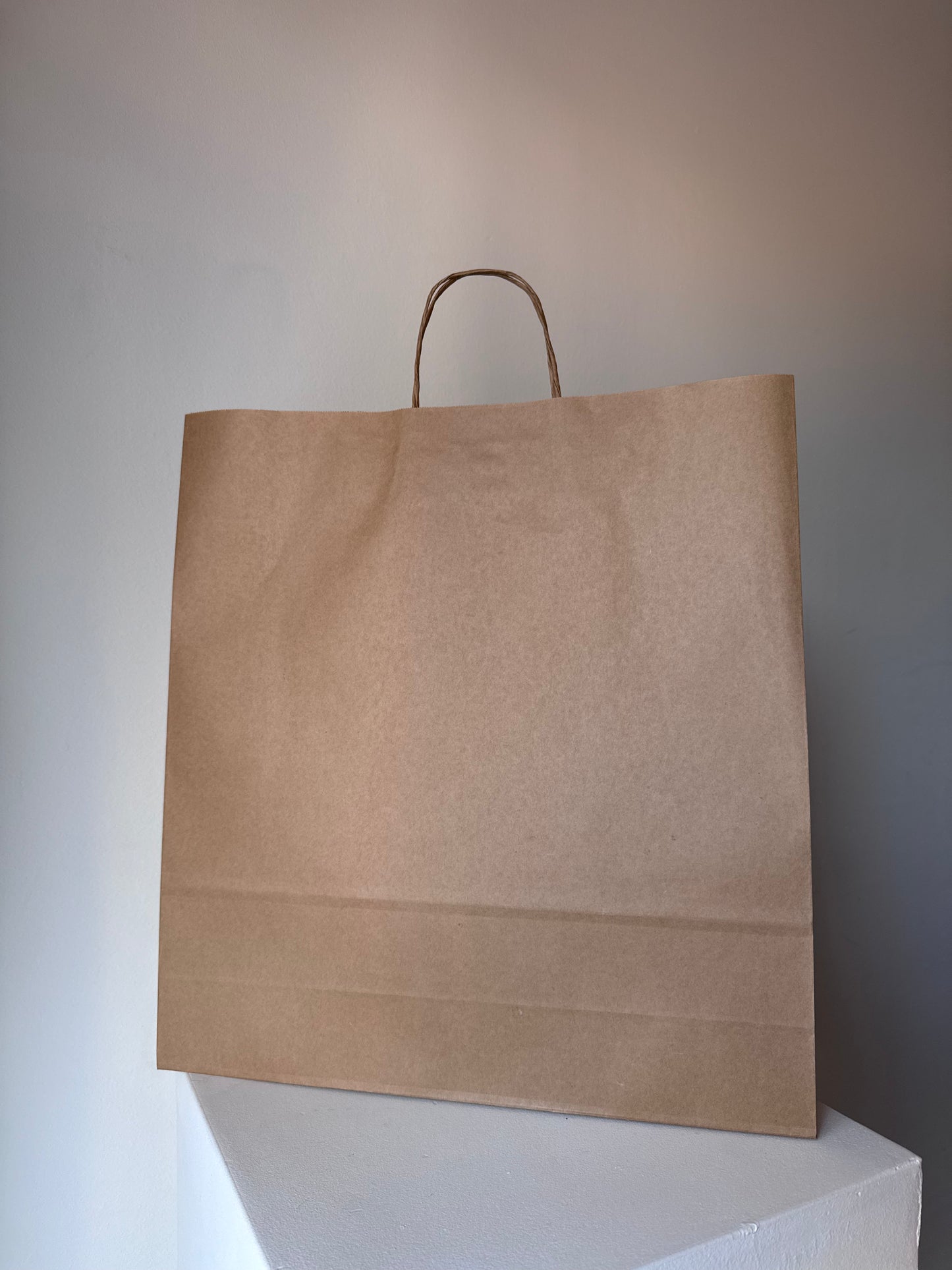 Large Paper Bag
