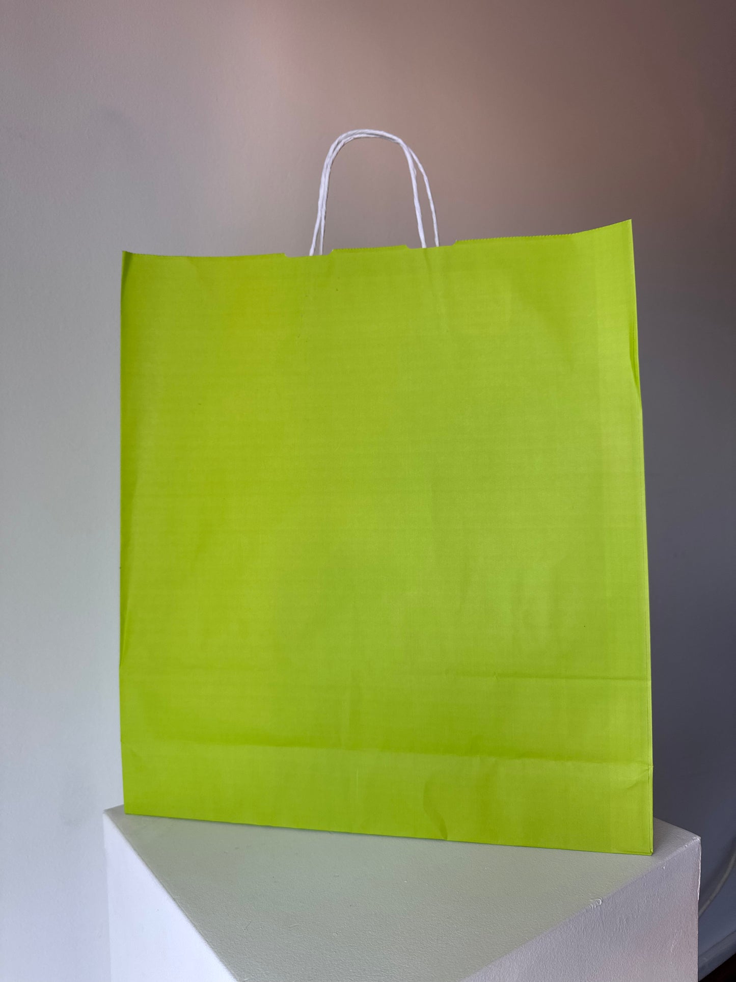 Large Paper Bag