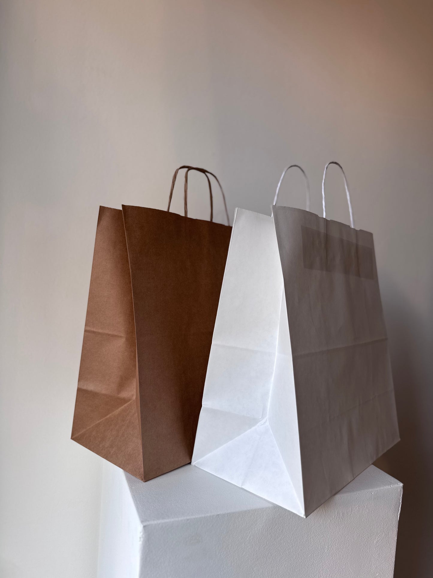 Delivery Paper Bag