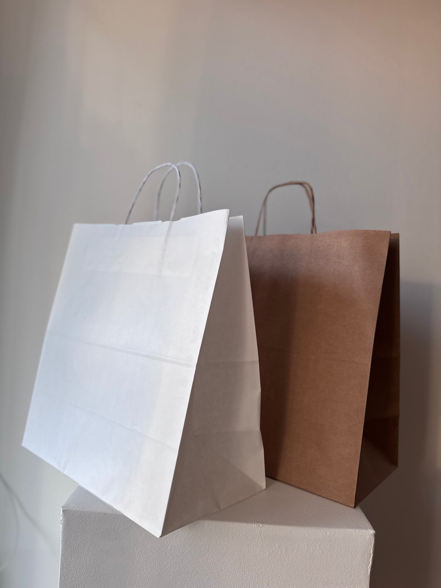 Delivery Paper Bag