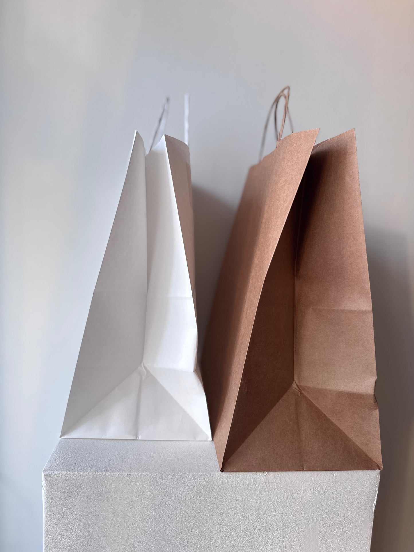 Delivery Paper Bag